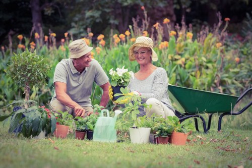 Healthy green lawn care in Hainault garden