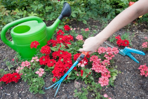 Soil improvement for flower bed creation in Hainault before planting begins