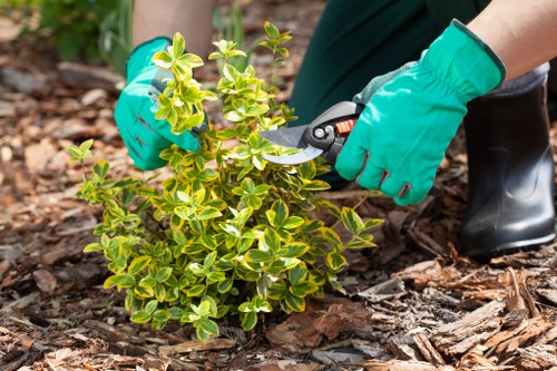 Website cookies and privacy settings for Landscapers Hainault