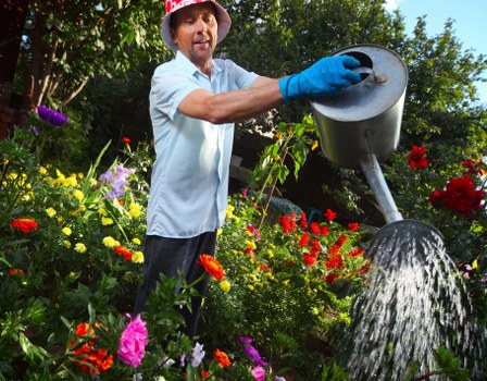 Performance monitoring for a landscaping website in Hainault