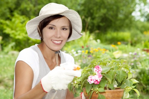 Example rubbish removal and garden clearance jobs in Hainault