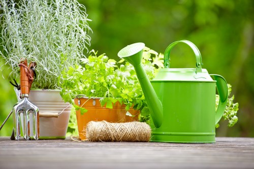 Screen-reader compatible landscaping website content for Hainault visitors
