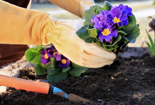 Keyboard navigation and accessible page structure for Hainault landscaping
