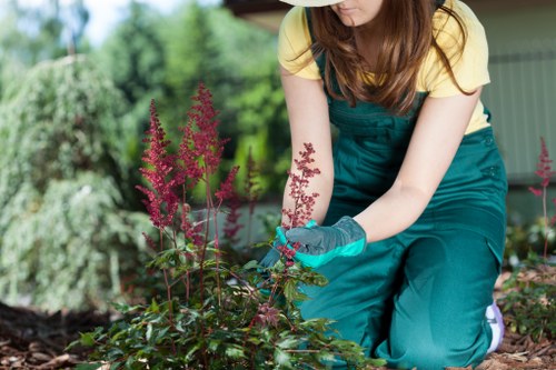 Seasonal lawn care and patch repair in Hainault