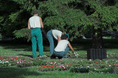 Professional Hainault landscaping with privacy planting and patio