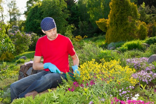 Transparent local pricing for landscaping and rubbish removal in Hainault