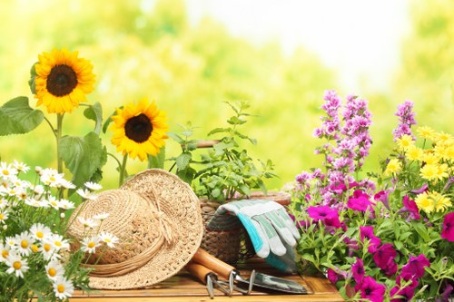 Professional garden paving and soft landscaping in Hainault