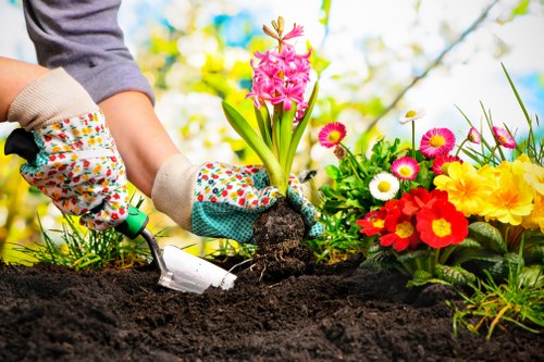Professional landscaper in Hainault completing safe outdoor cleanup