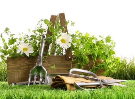 Worker maintaining a safe and tidy landscaping area