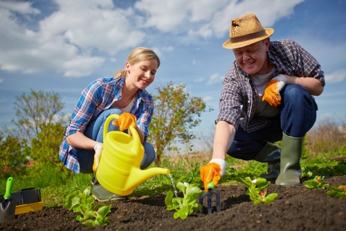 Regular mowing and lawn care in Hainault