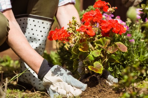 Written outcome for a landscaping complaint