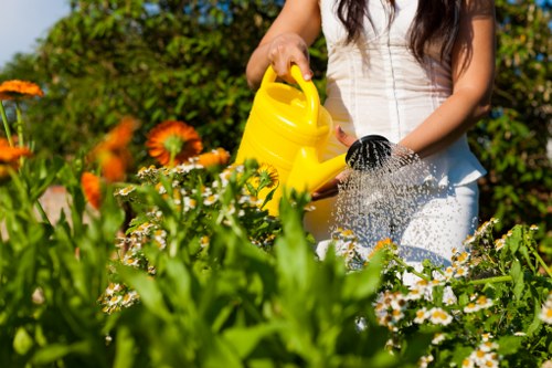 Outdoor garden lighting and planting in a Hainault landscape