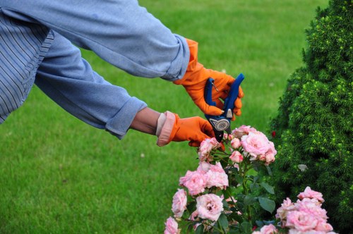 Hainault landscapers designing a balanced outdoor area