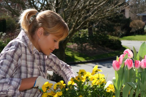 Professional grass cutting and edging for local properties in Hainault